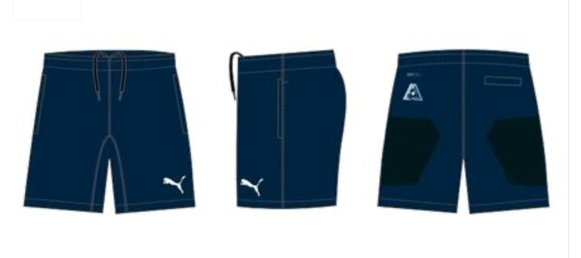 Puma shorts navy hotsell