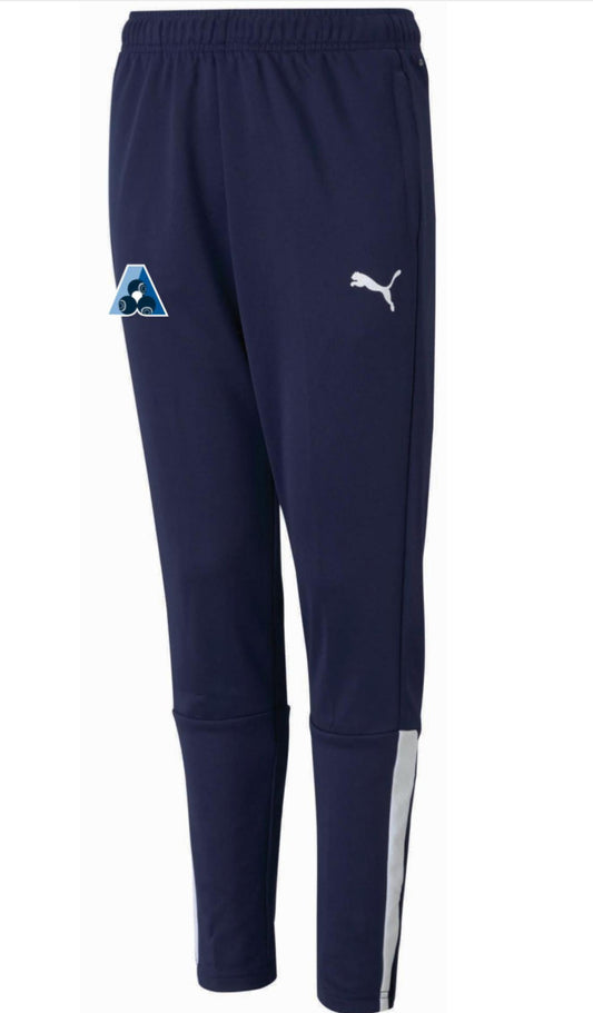 Puma TeamLiga men’s Training pants- Navy